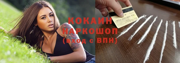 твердый Верхний Тагил