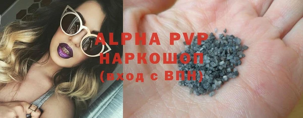 стаф Верея