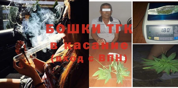 стаф Верея