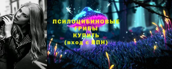 твердый Верхний Тагил