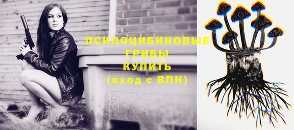 2c-b Волосово