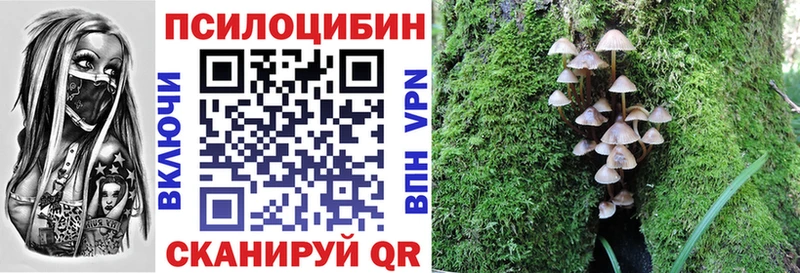 Купить где  Алексеевка  Псилоцибиновые грибы мицелий 